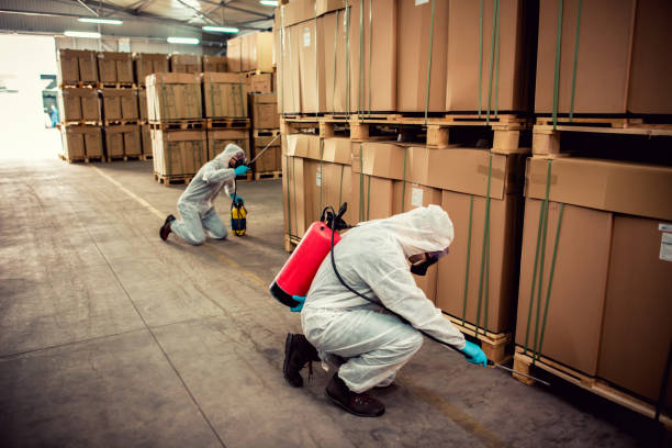 Best Flea Control Services  in Chamberlayne, VA