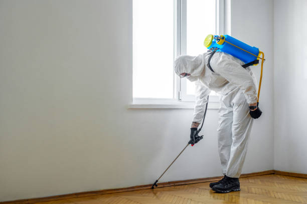 Best Termite Control Services  in Chamberlayne, VA
