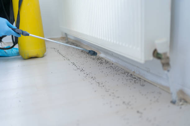  Chamberlayne, VA Pest Control Pros