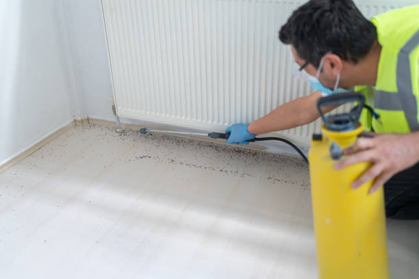Best Bed Bug Extermination  in Chamberlayne, VA